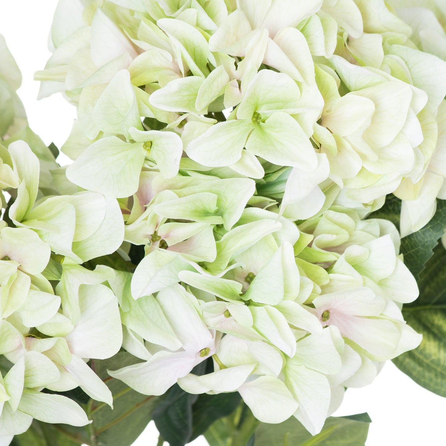 Pale Natural Green Hydrangea Bouquet