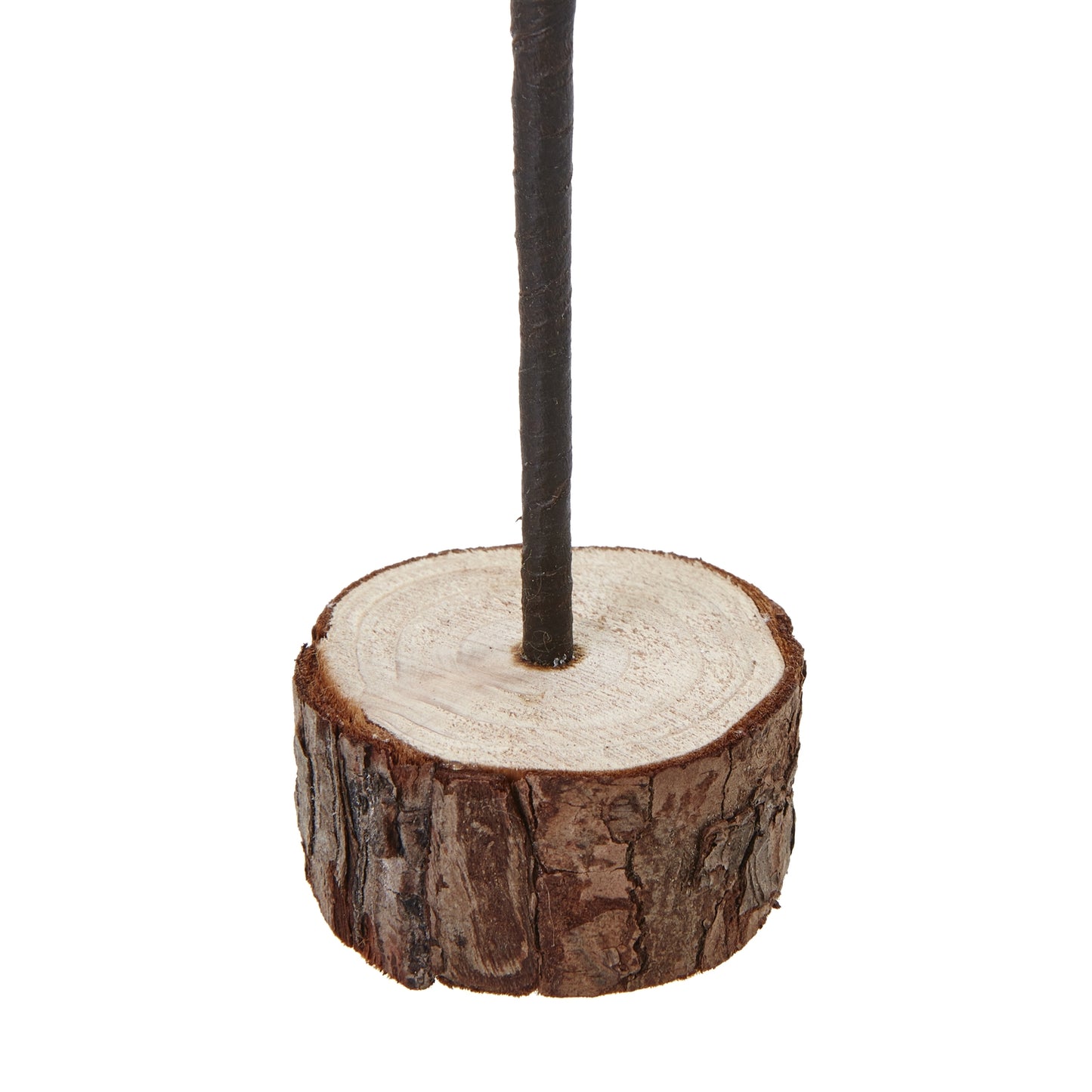 Snowy Spindle Tree on Wooden Log Base - Medium