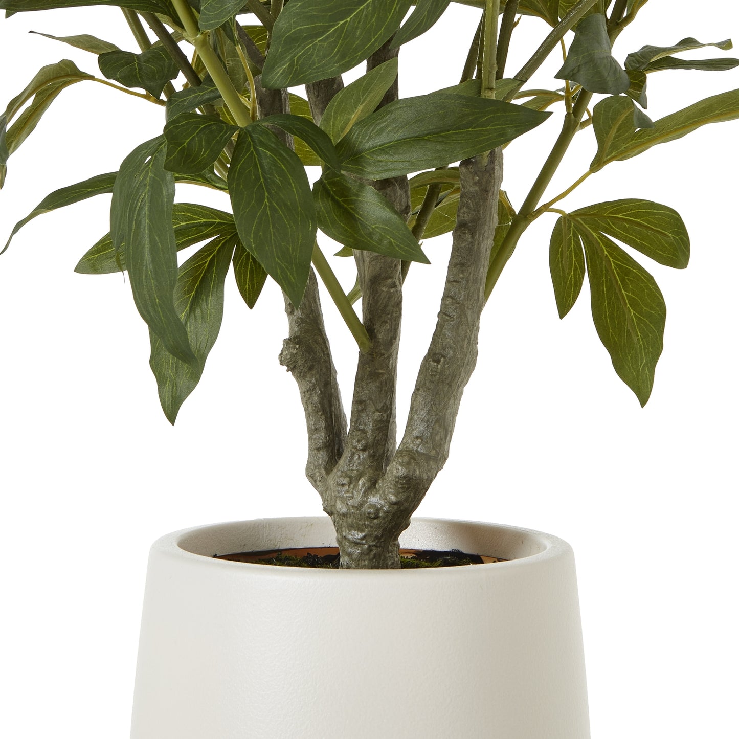 Ainsley Stone Ginger Jar - Large