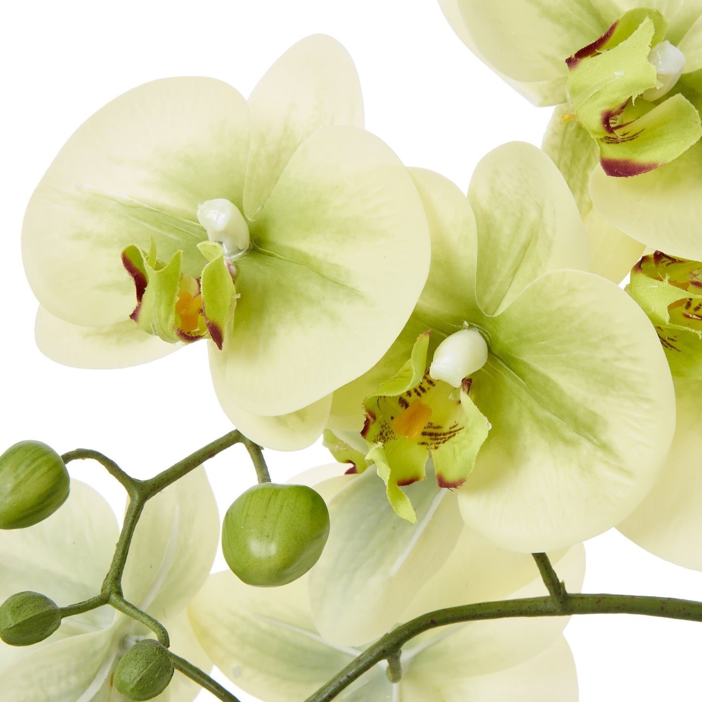 Faux Orchid in Ceramic Pot – Medium