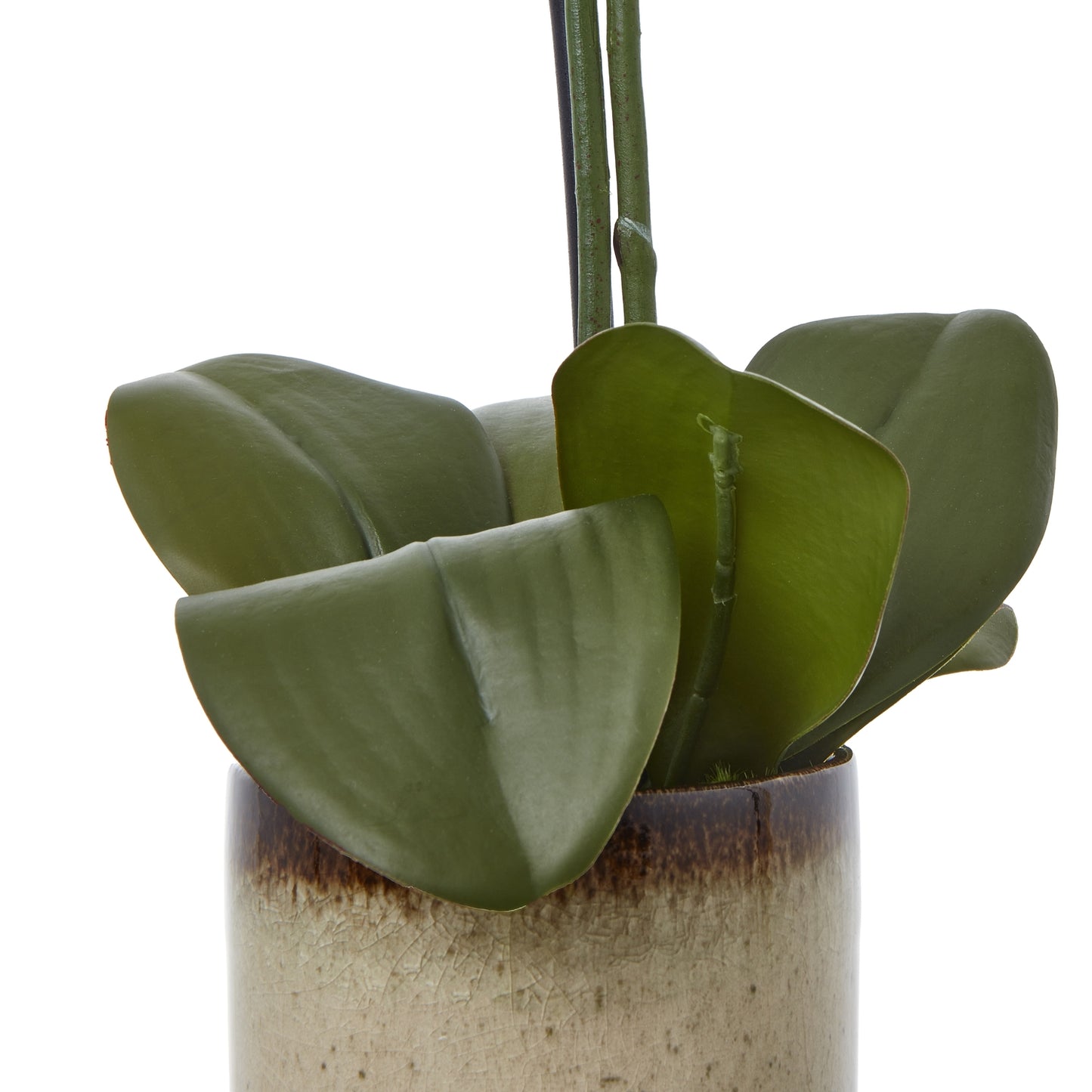 Faux Orchid in Ceramic Pot – Medium