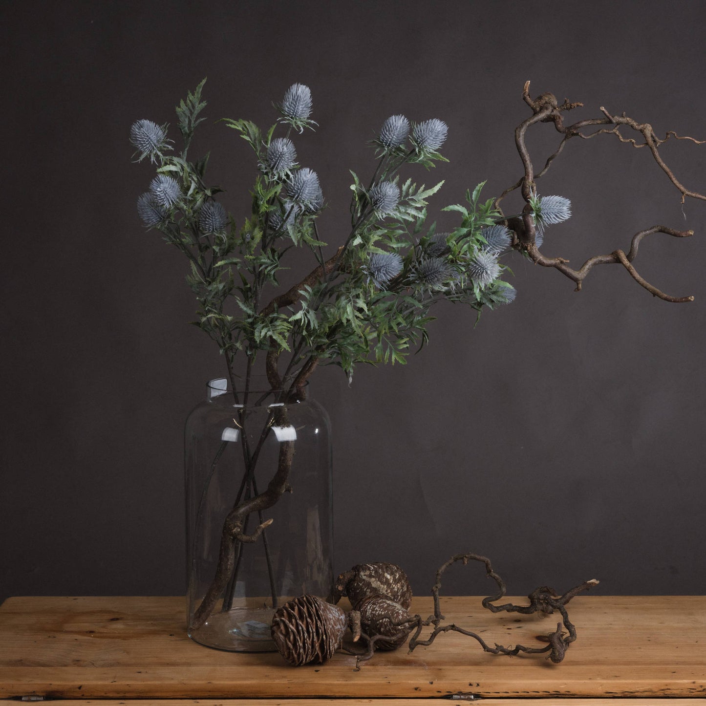 Tidal Eryngium Thistle