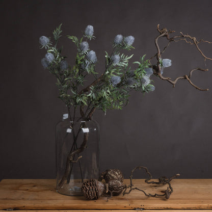 Tidal Eryngium Thistle