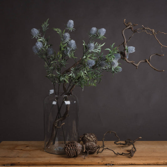 Tidal Eryngium Thistle