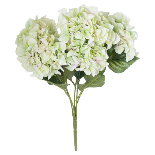 Pale Natural Green Hydrangea Bouquet