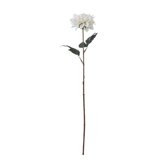 Tall White Dahlia