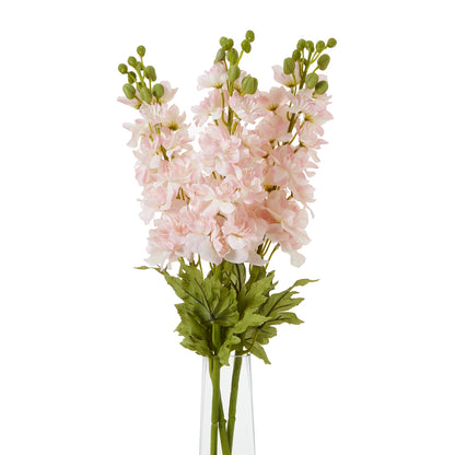 Pink Elatum Delphinium