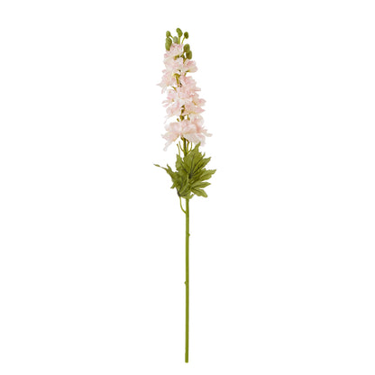 Pink Elatum Delphinium