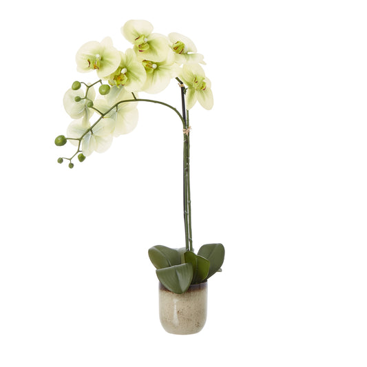 Faux Orchid in Ceramic Pot – Medium