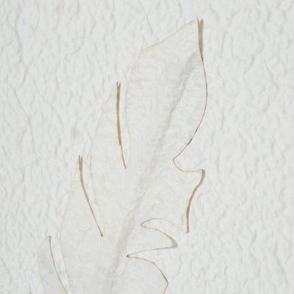 White Feathers Art Mounted In Beaded Frame