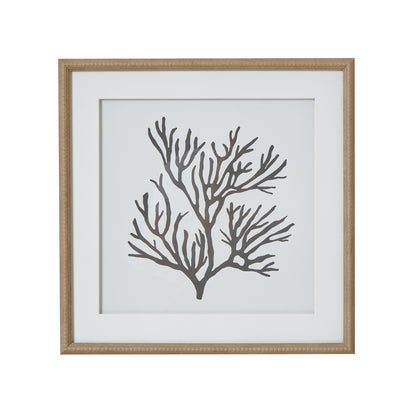 Reef Coral Art Mounted In Beaded Frame