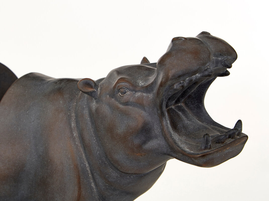 Boho Set of 2 Hippo Bookends